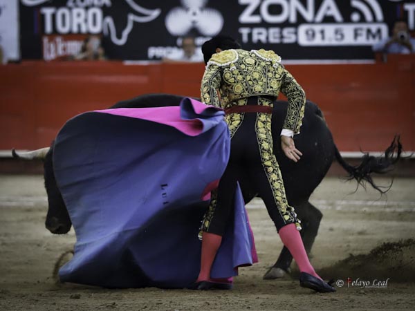 Remate de Luis David