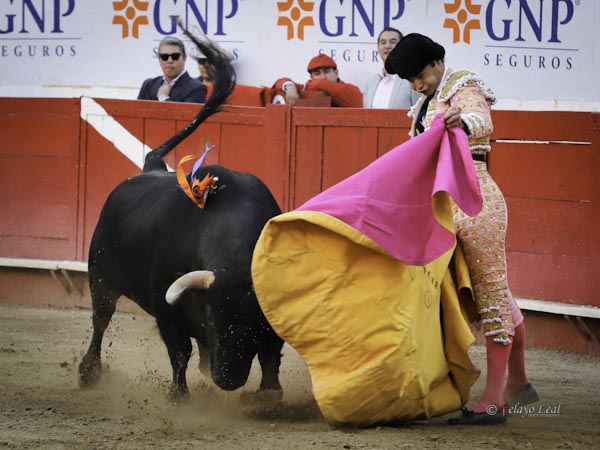 Primeros lances al quinto