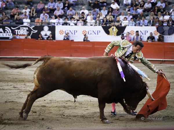 El colorado met�a la cara