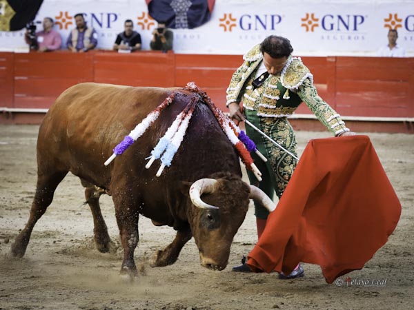 Muletazos de val�a