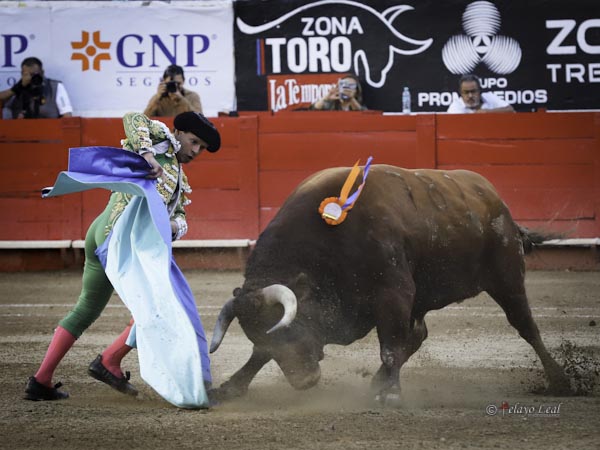 El molesto viento de la tarde