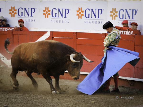 Ferrera, con su segundo