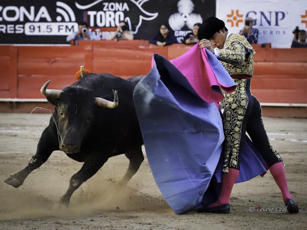 El capote de Luis David