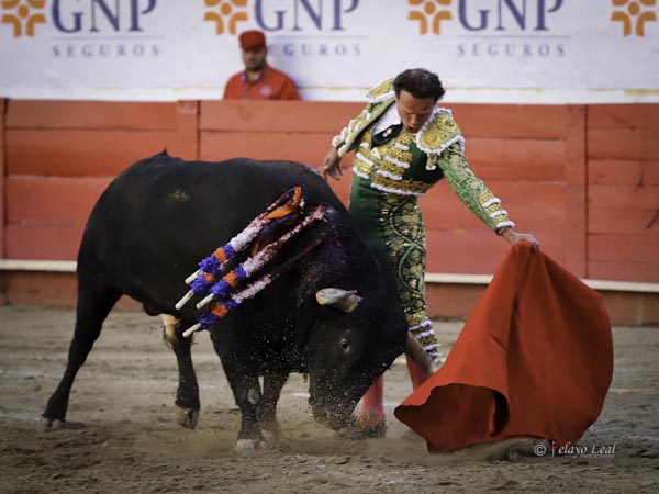 Paciencia y colocaci�n