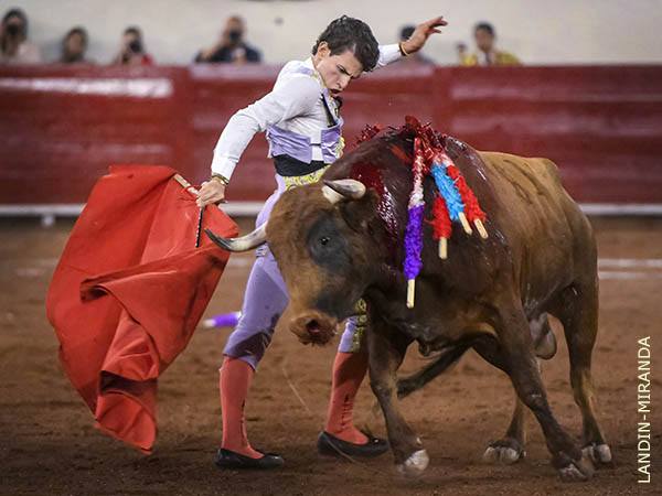 Disposici�n y deseos de triunfo