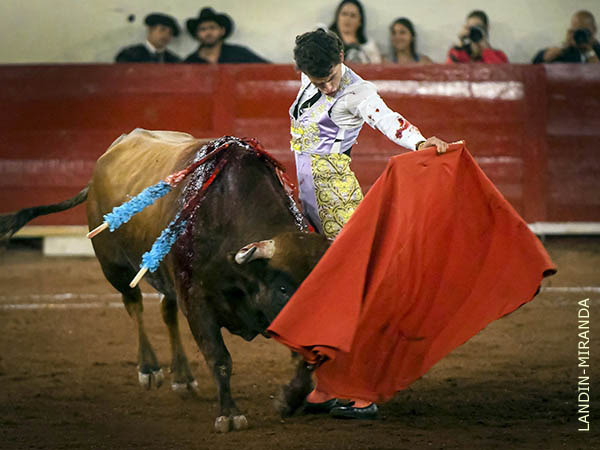 El enga�o a media altura