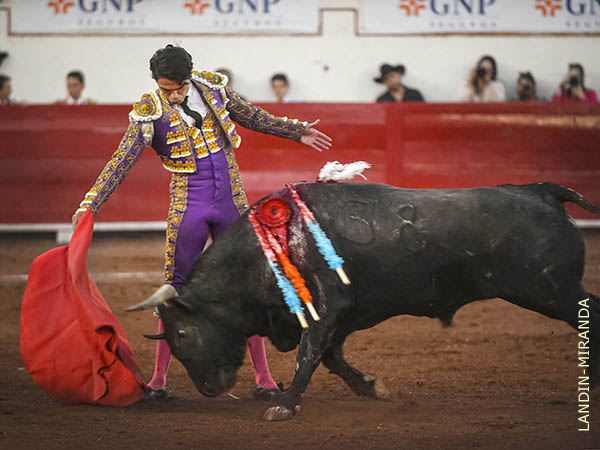 Buenos momentos con la diestra