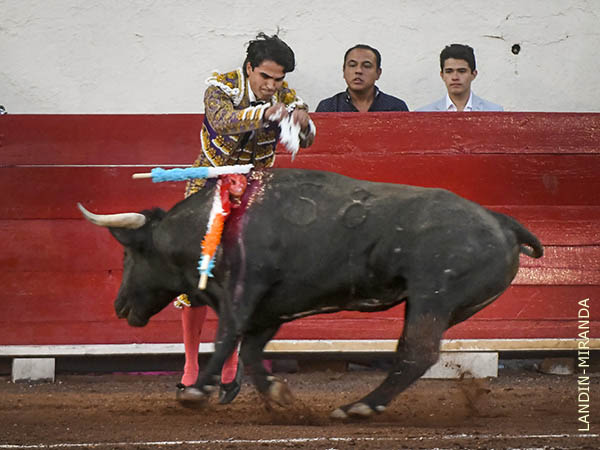 Cortas, al hilo de las tablas