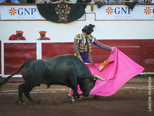 Las ver�nicas de Juanma Ibarra