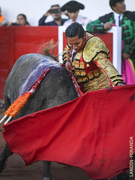 Esforzada faena del novillero