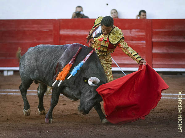 Luci� en los naturales