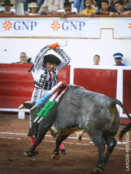 Panita, en la cara del c�rdeno