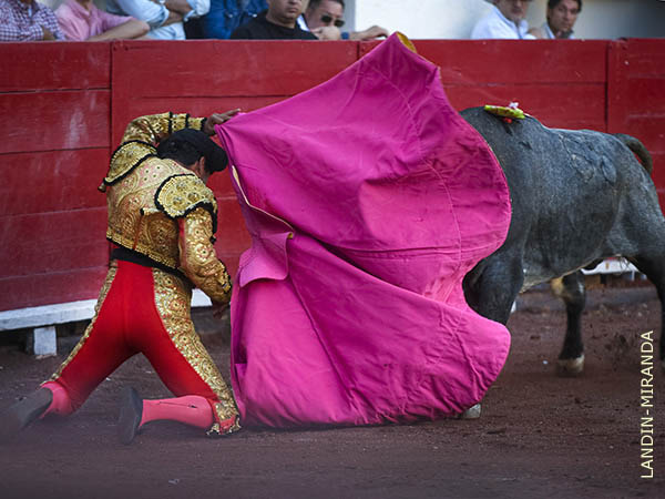 El saludo de Alberto Mercado