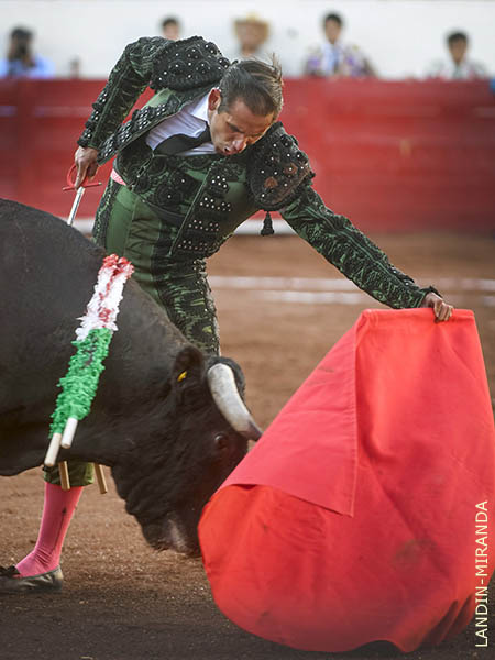 Opt� por el toreo al natural