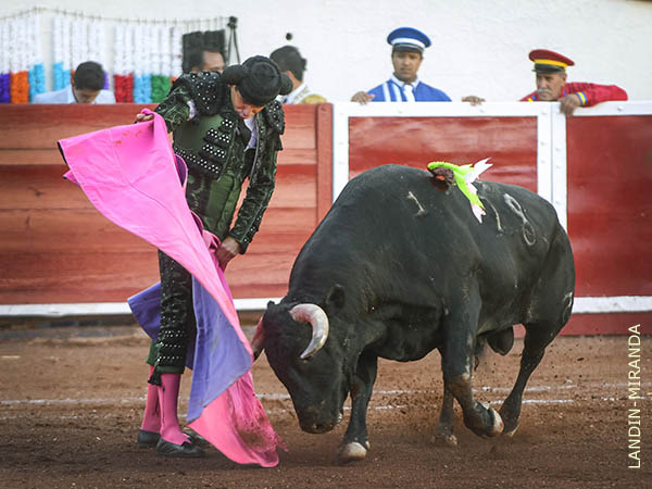 Las ver�nicas de Juan del Castillo