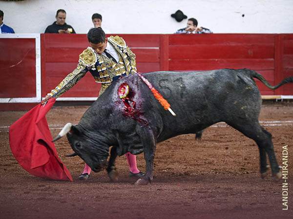 Templadas tandas en los medios