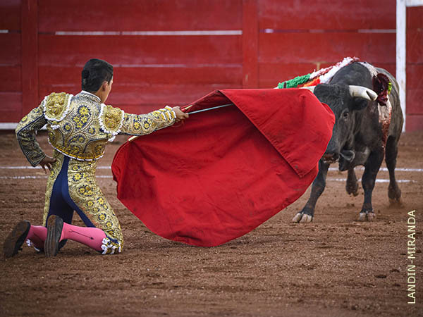 Vibrante inicio de faena