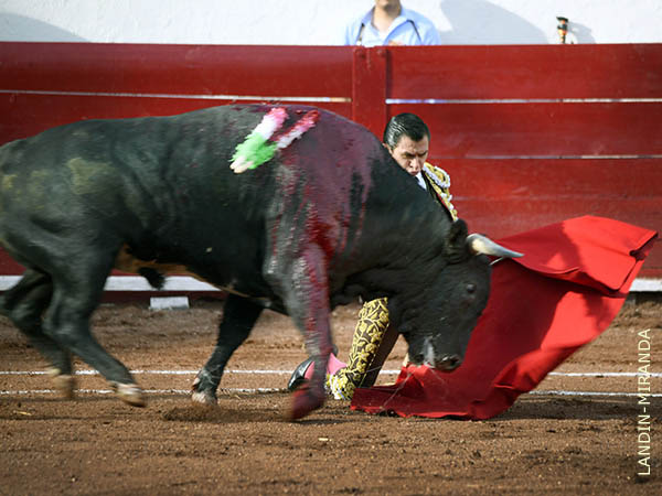 Pr�logo rodilla en tierra