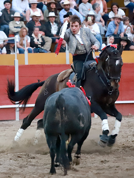 Provocando la embestida