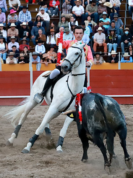 Pis�ndole los terrenos