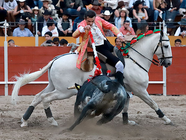 Aloi en gran momento