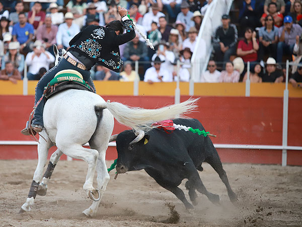 Con son, acometividad y trasmisi�n