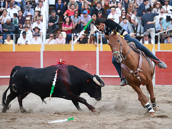 Dejando la banderilla