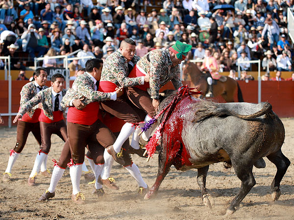 Gran tarde de los Forcados de Tlaxcala