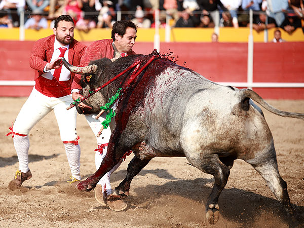 Los Forcados emocionaron al respetable