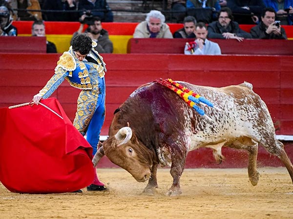 Metiendo la cara abajo