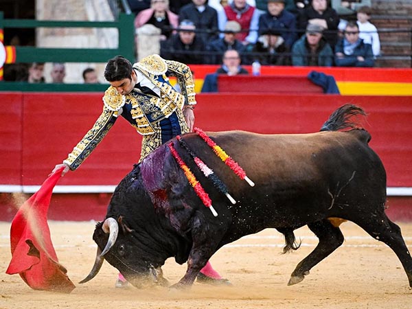 Los belfos en la arena