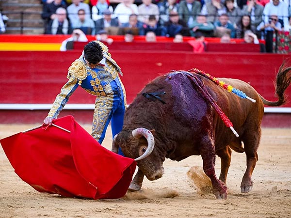 Tirando del colorado