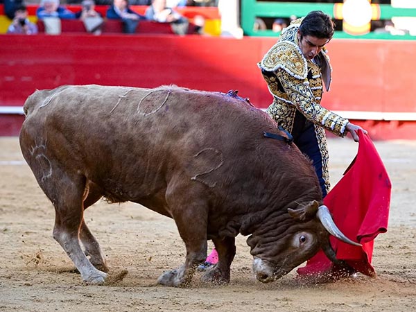 Miguel �ngel, primer espada