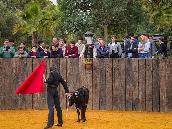 Tiempo de probar vaquillas