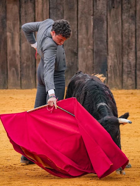 De las escuelas de Andaluc�a