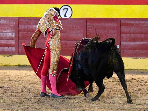Solvente ante sus dos ejemplares