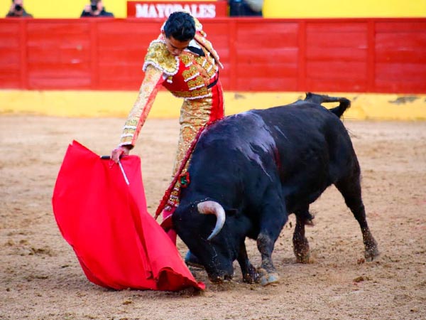 Luci� en sus dos lidias