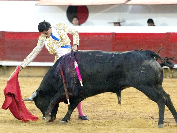 Luis David escuch� palmas en su lote