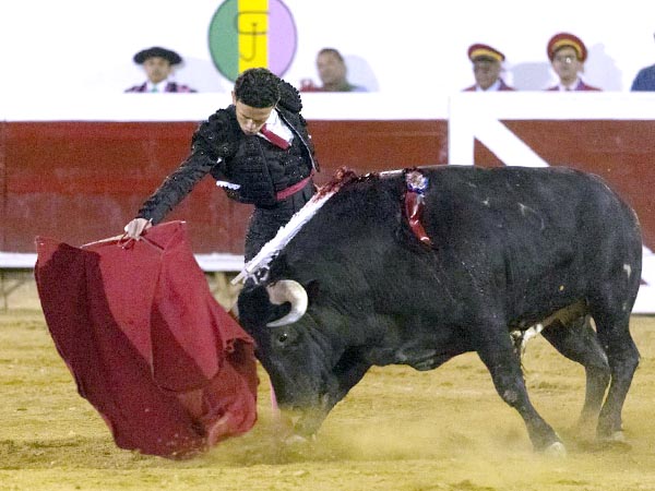 Largos y templados muletazos