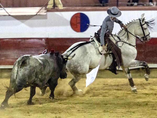 La banderola como enga�o