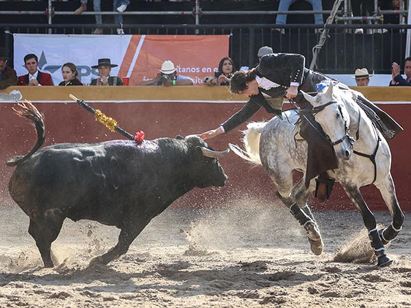 La mano en el testuz