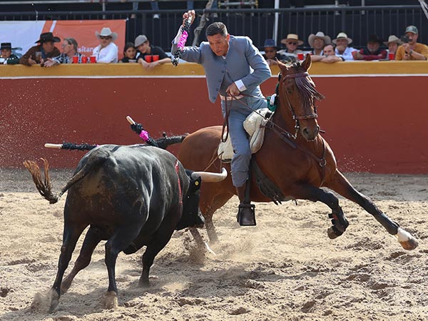 Banderilla al estribo