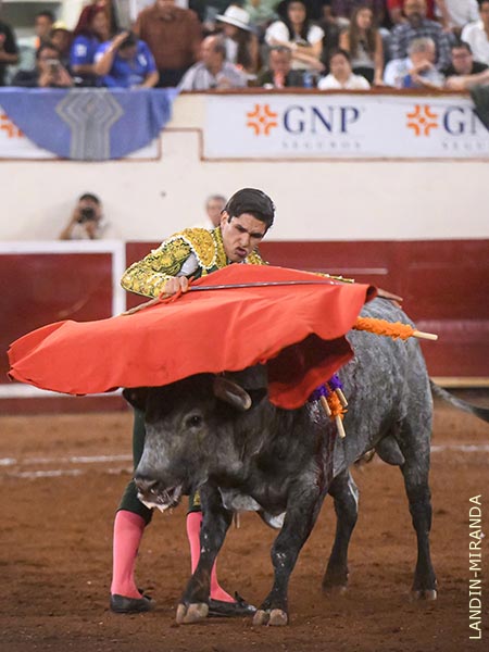 Imposible ligar las series