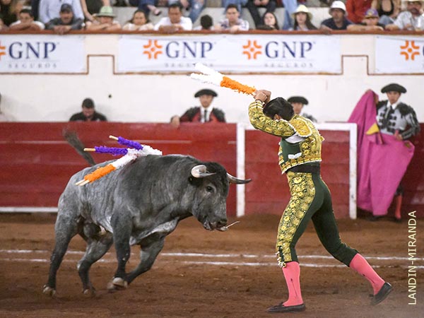 H�bil banderillador