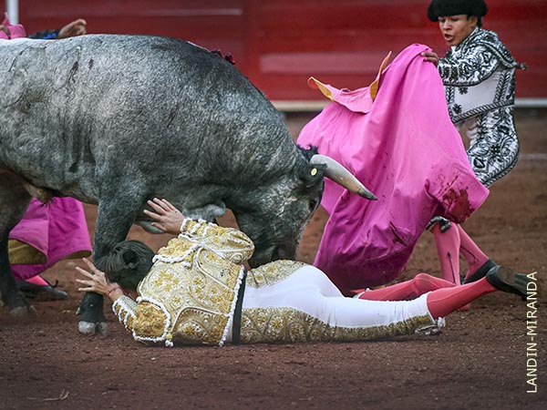 Desarme y trompic�n