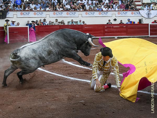 Buscando el triunfo grande