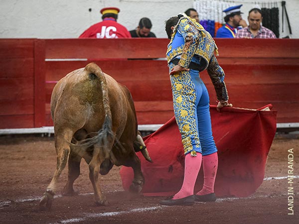 Destellos de su clase