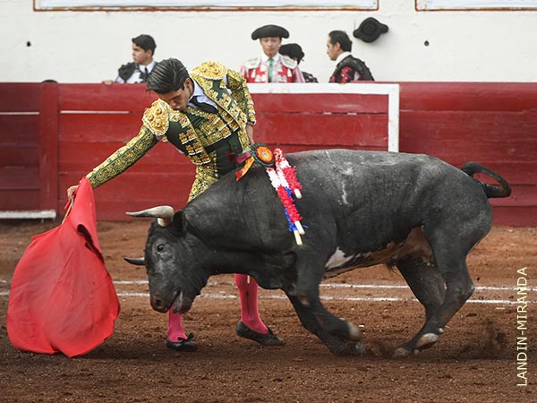 Largo y fijo en su muleta