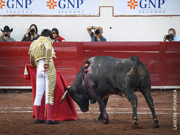 Reposadas tandas en el tercio