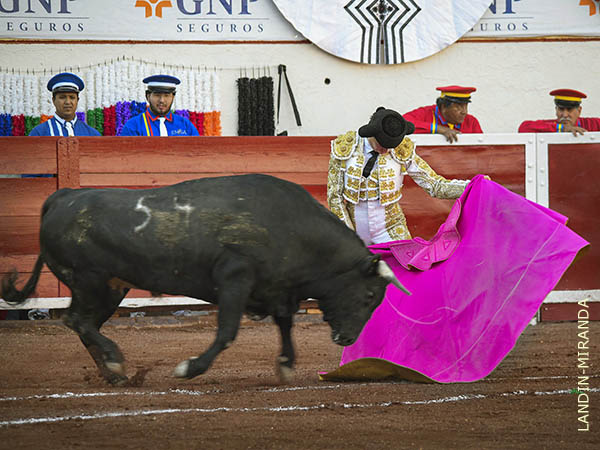 Brill� en las ver�nicas